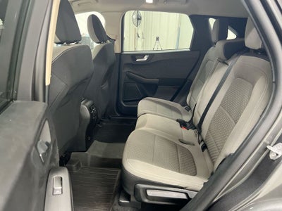 2020 Ford Escape SE Sport Hybrid