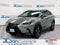 2019 Lexus NX NX 300